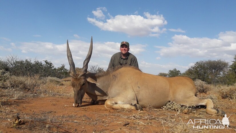 Cape Eland Namibia