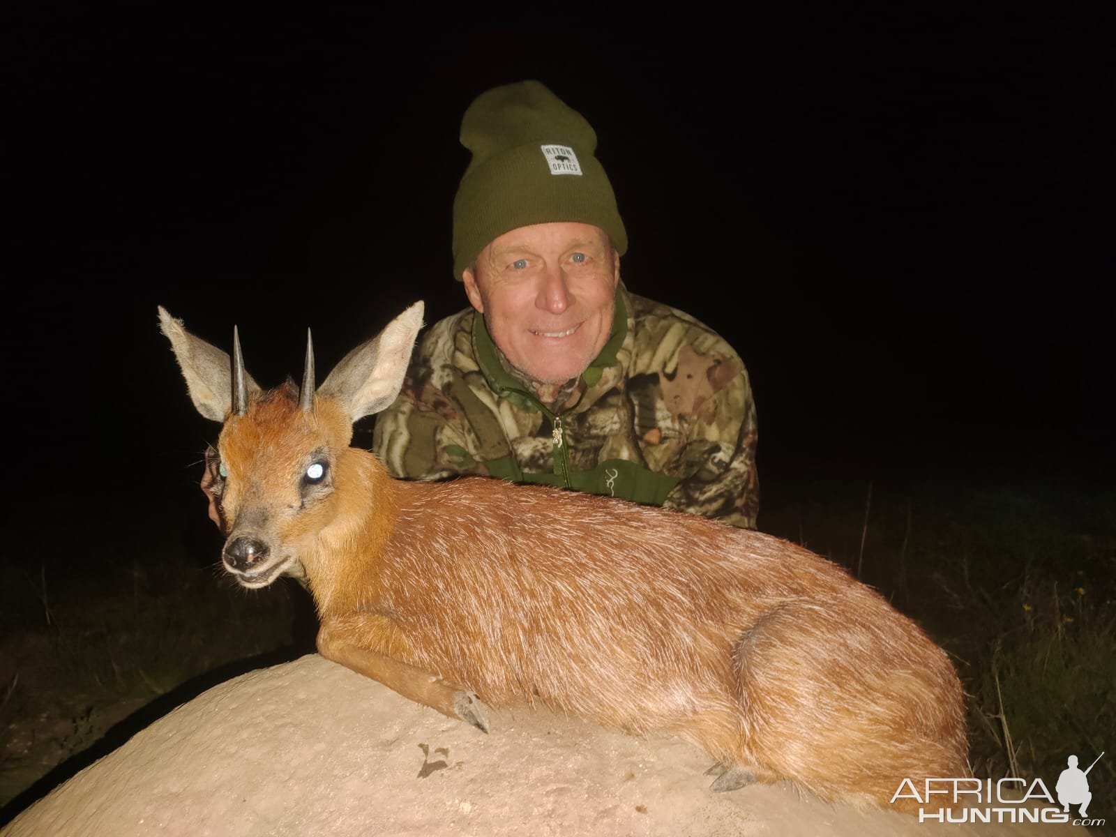 Cape Grysbok Hunt Eastern Cape South Africa