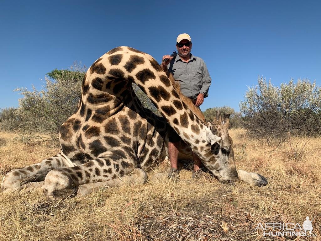 Caprivi Namibia Hunt Giraffe