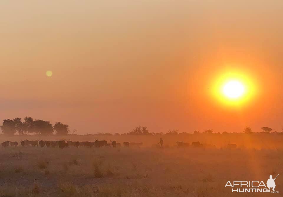 Caprivi/ Zambesi Region Namibia