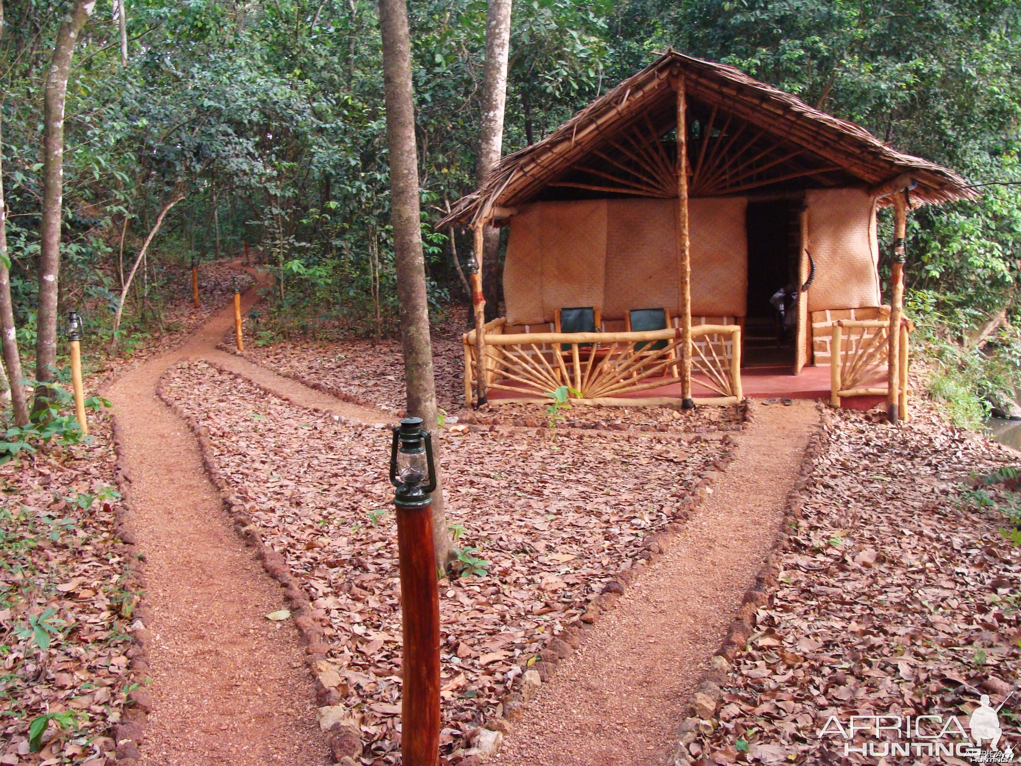 CAR with Central African Wildlife Adventures