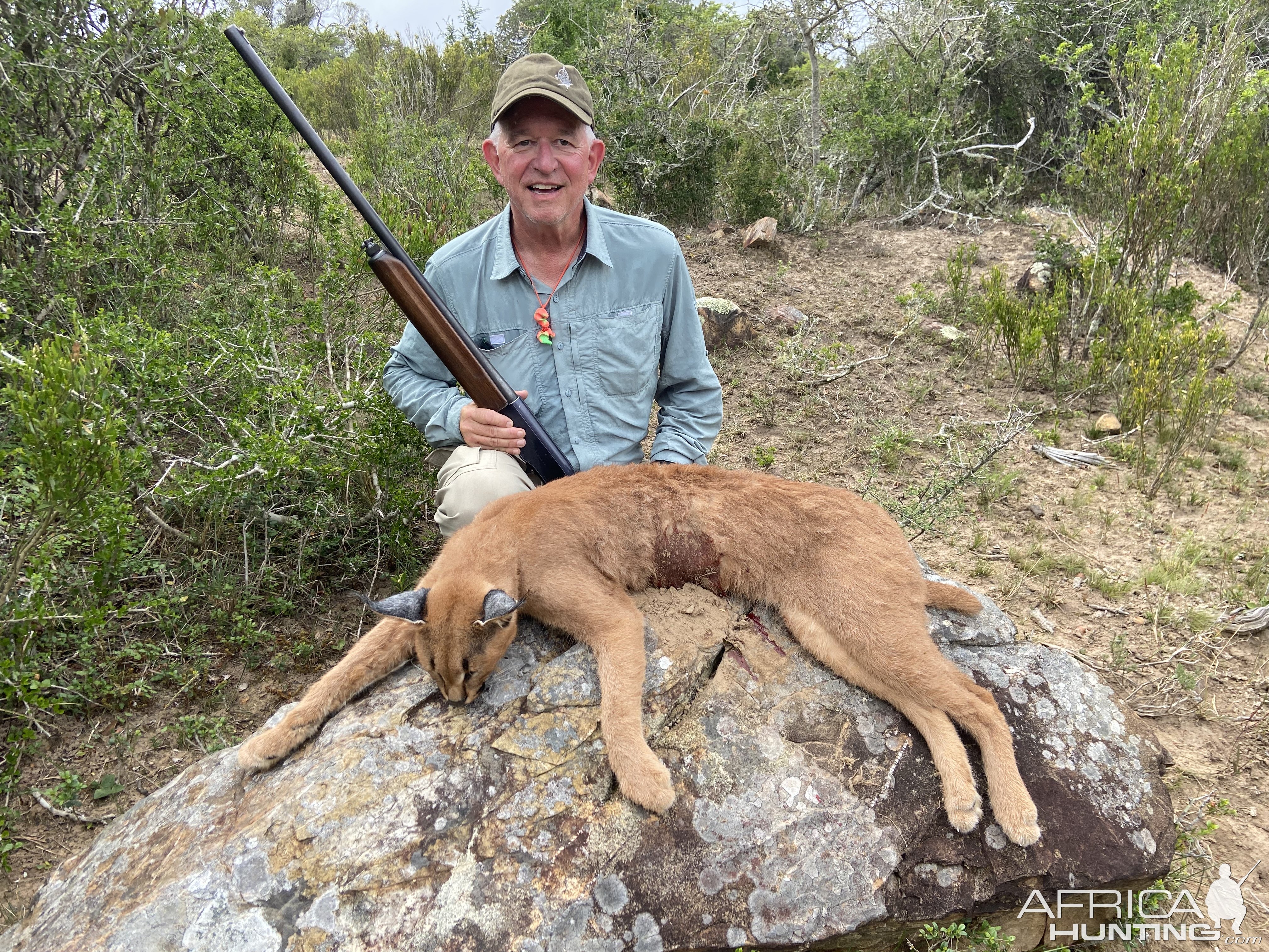 Caracal Hunt Eastern Cape South Africa