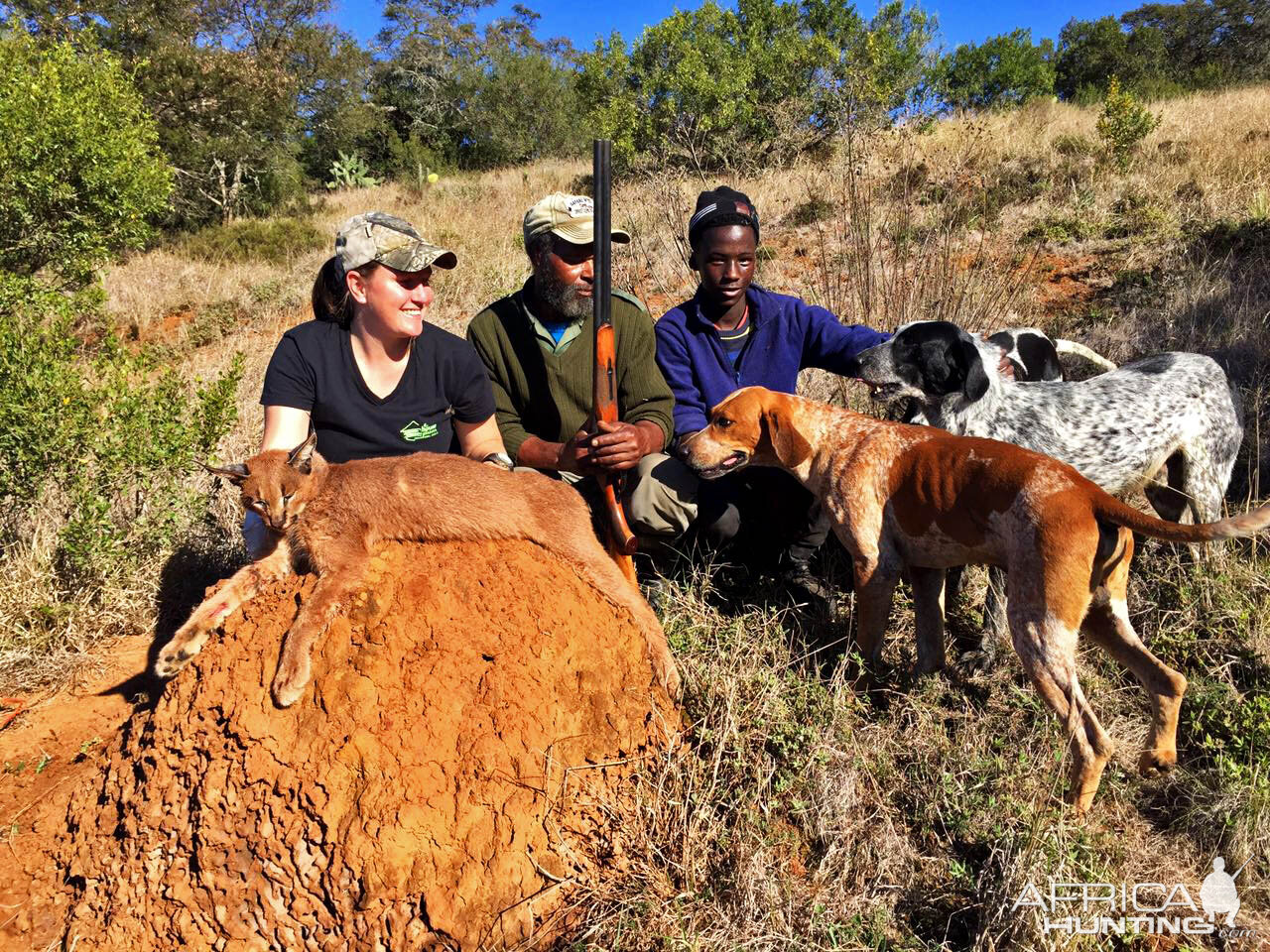 Caracal Hunt South Africa