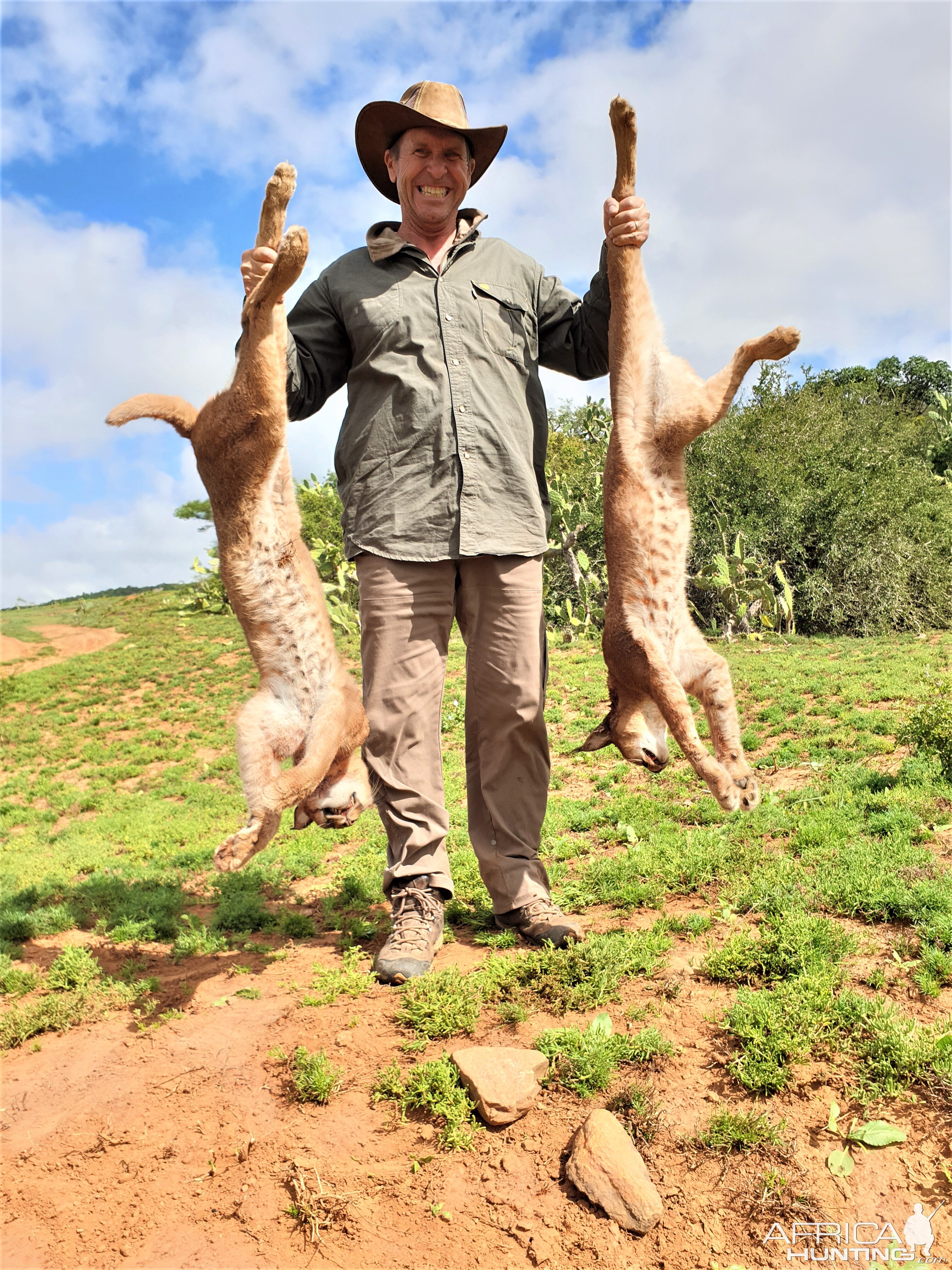 Caracal Hunting Eastern Cape South Africa