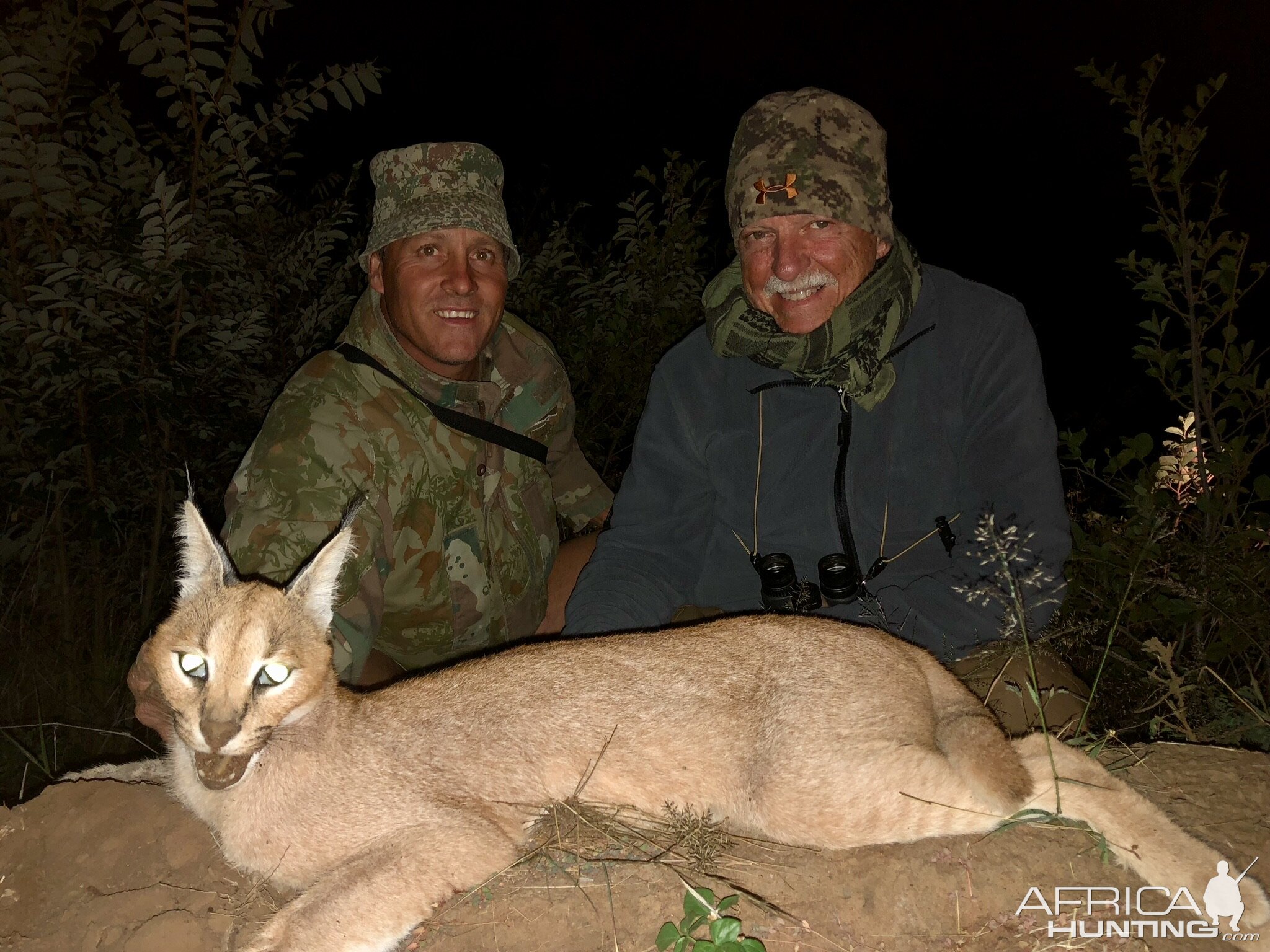 Caracal Hunting in South Africa