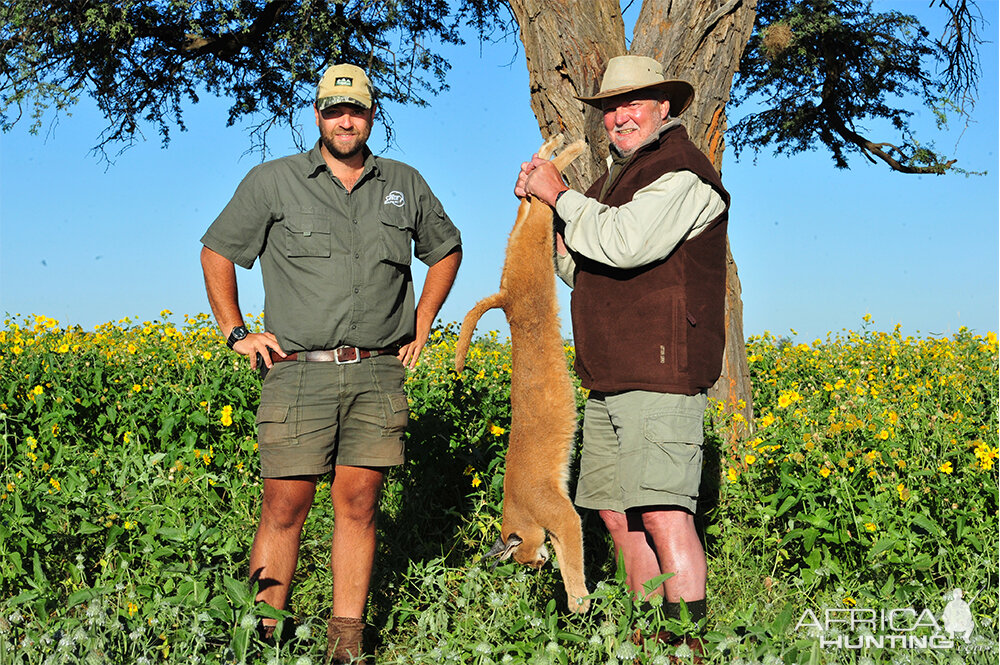 Caracal Hunting South Africa