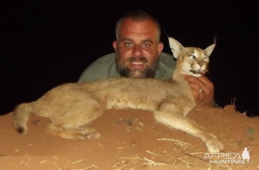 Caracal Hunting Sunset Safaris