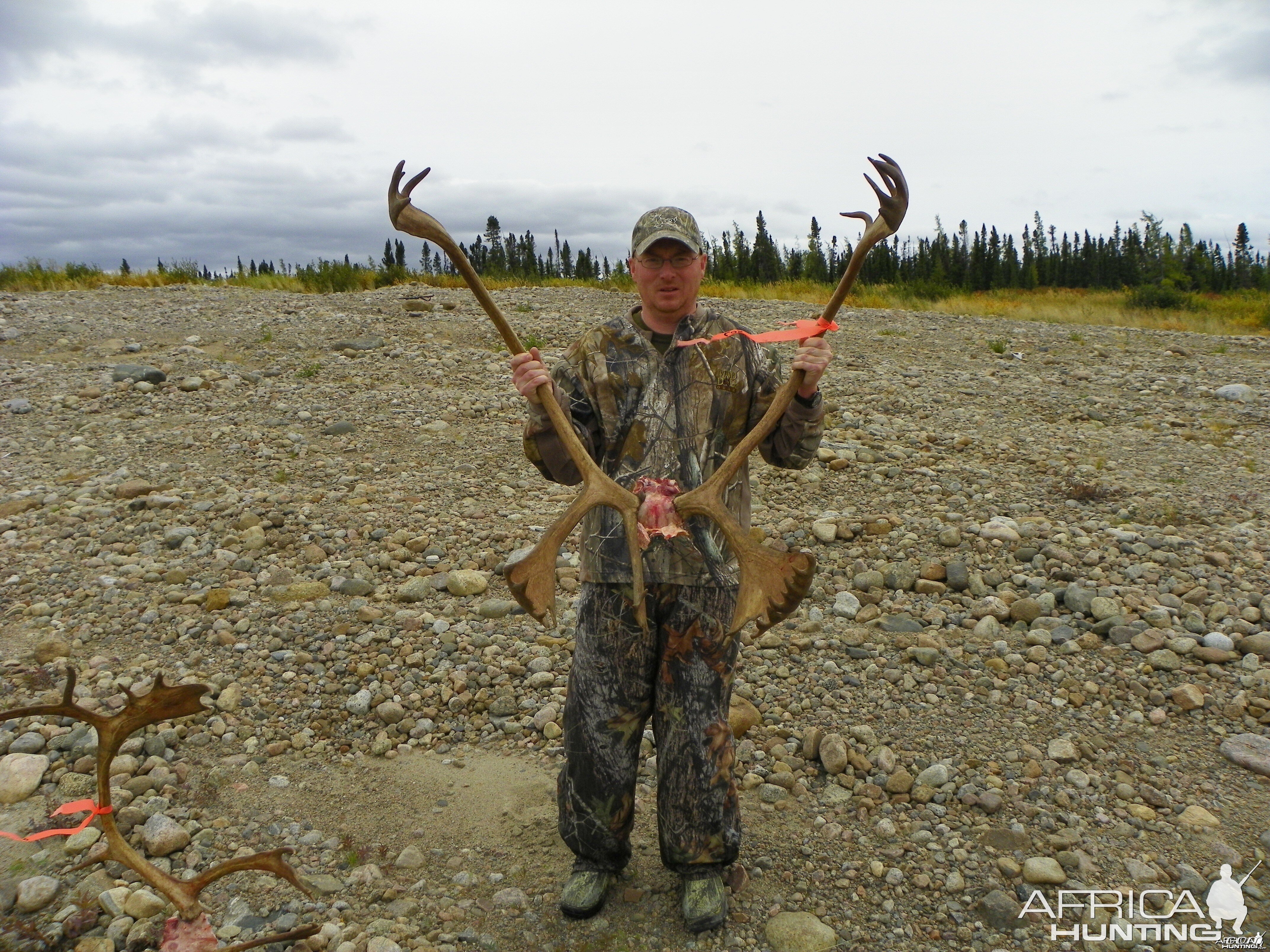 Caribou Hunt 2011, Quebec