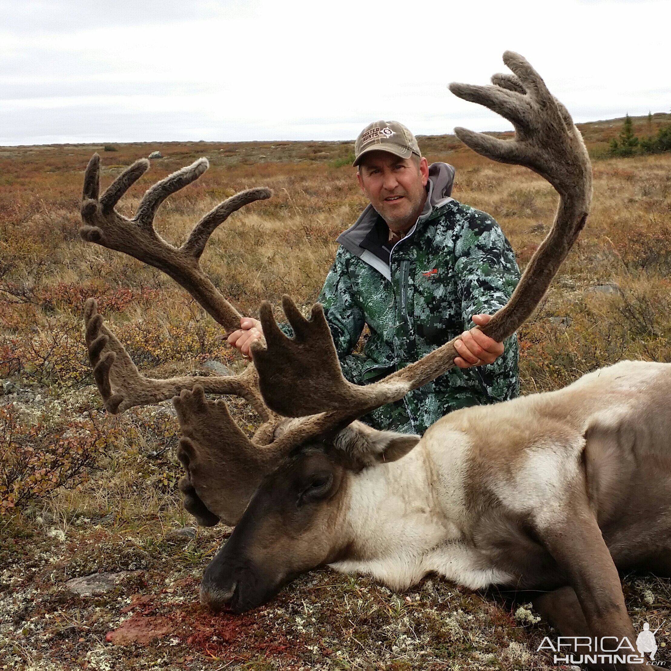 Caribou Hunt