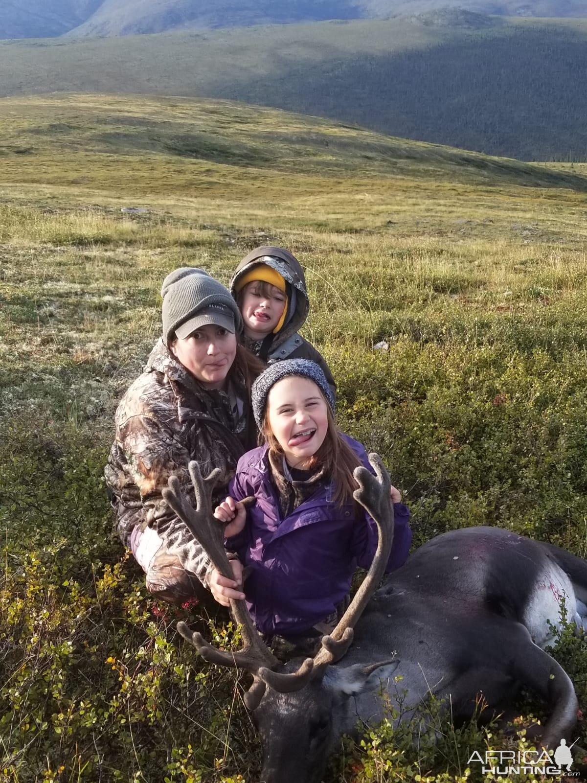 Caribou Hunting Alaska USA