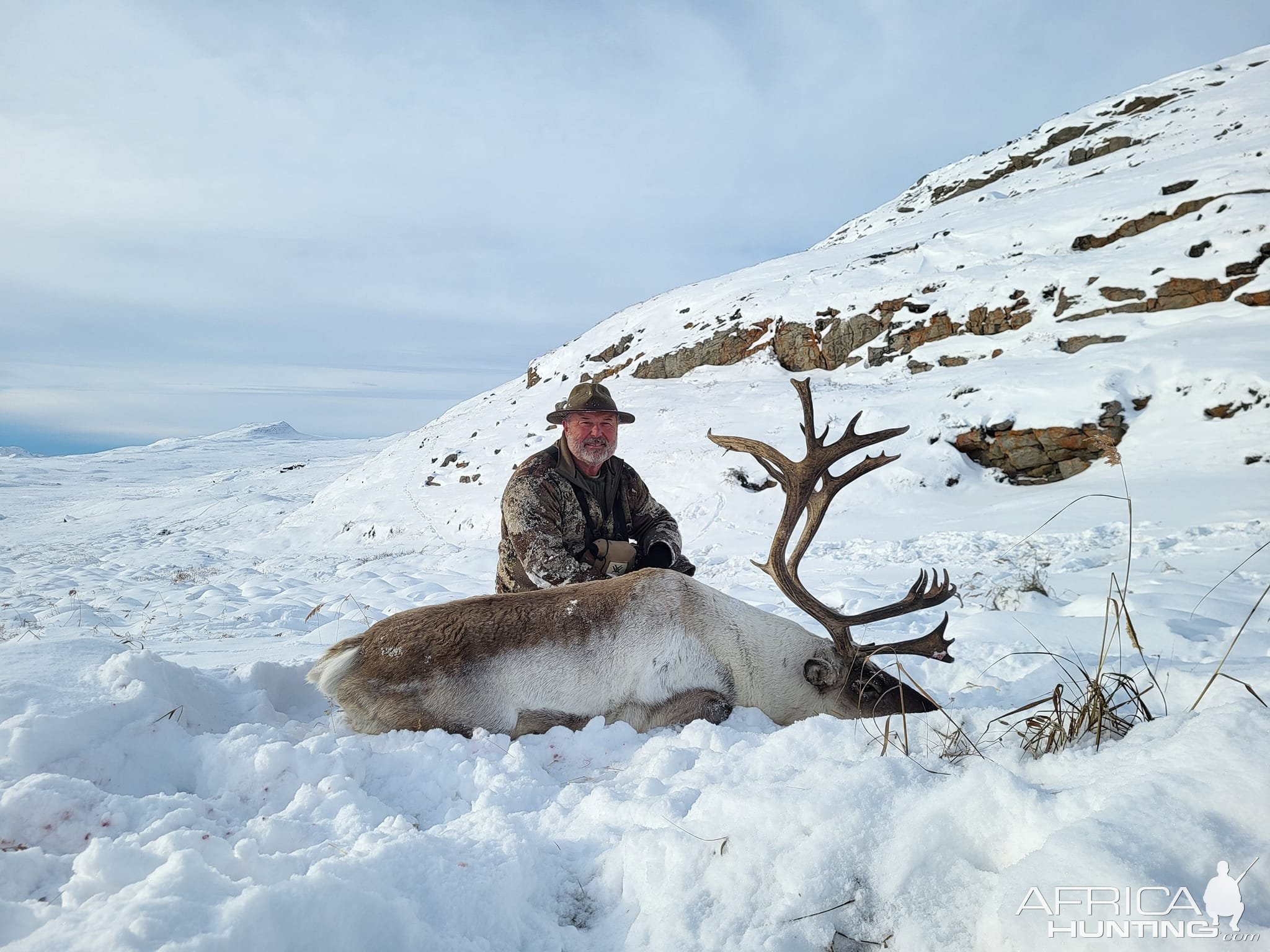 Caribou Hunting Greenland