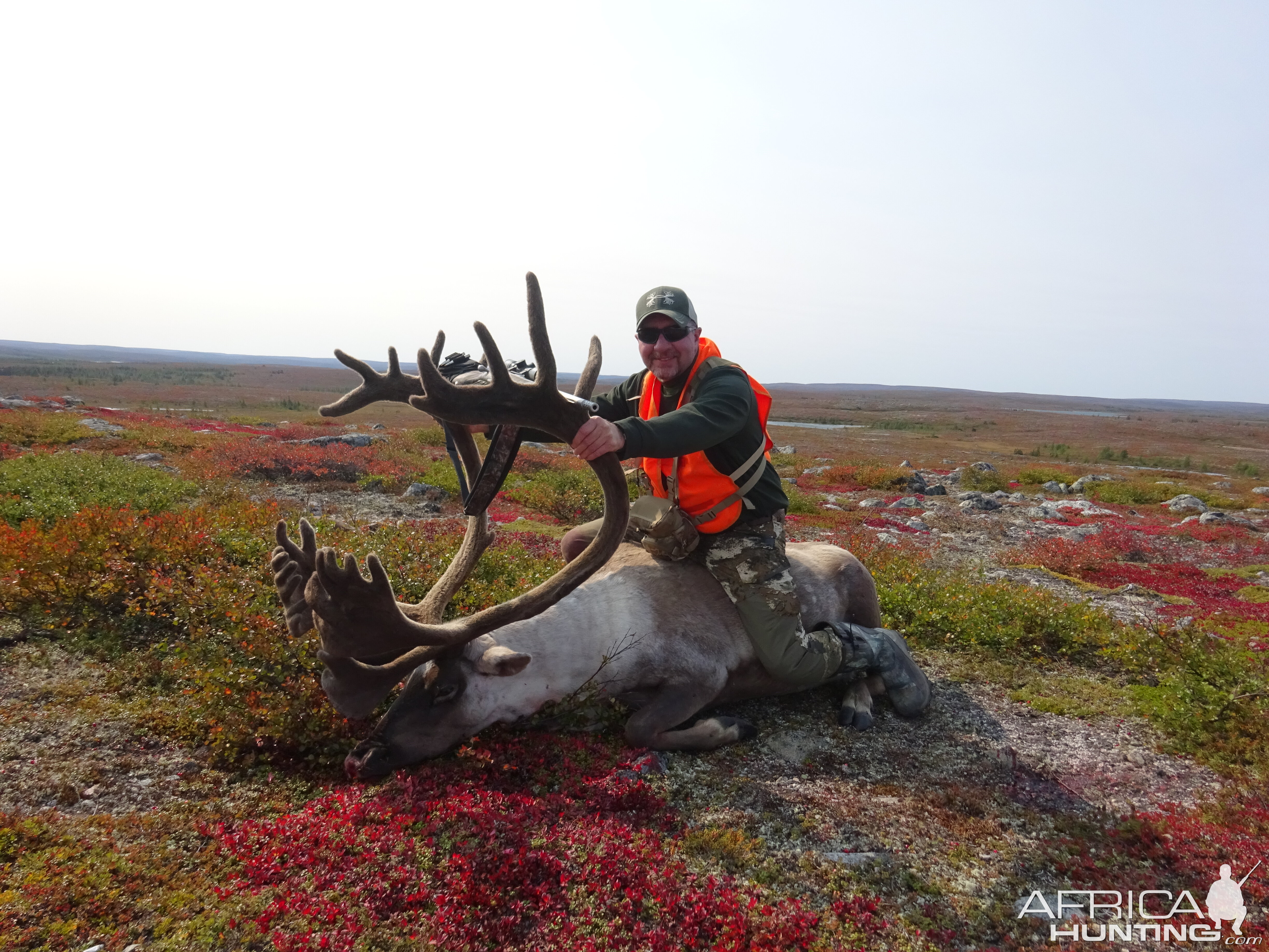 Caribou Hunting