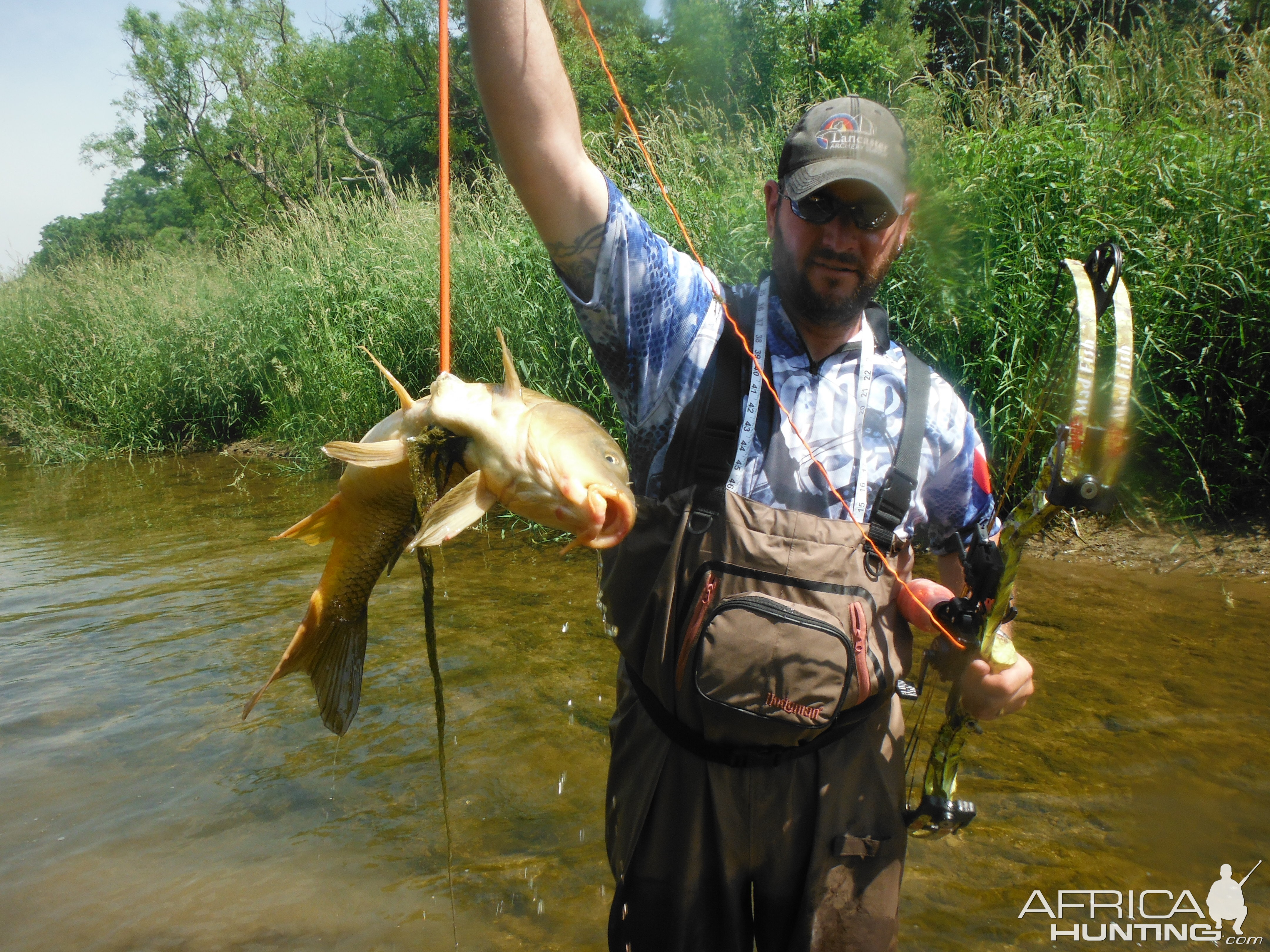 Carp Bow Fishing