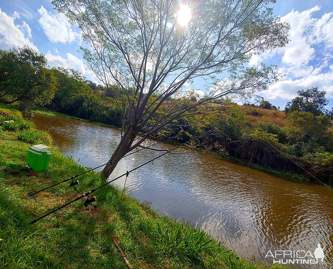 Carp/Yellowfish Fishing in South Africa