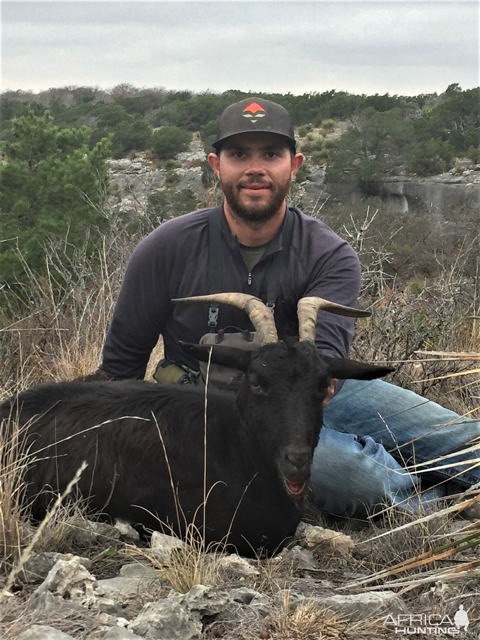 Catalina Goat Hunt Texas