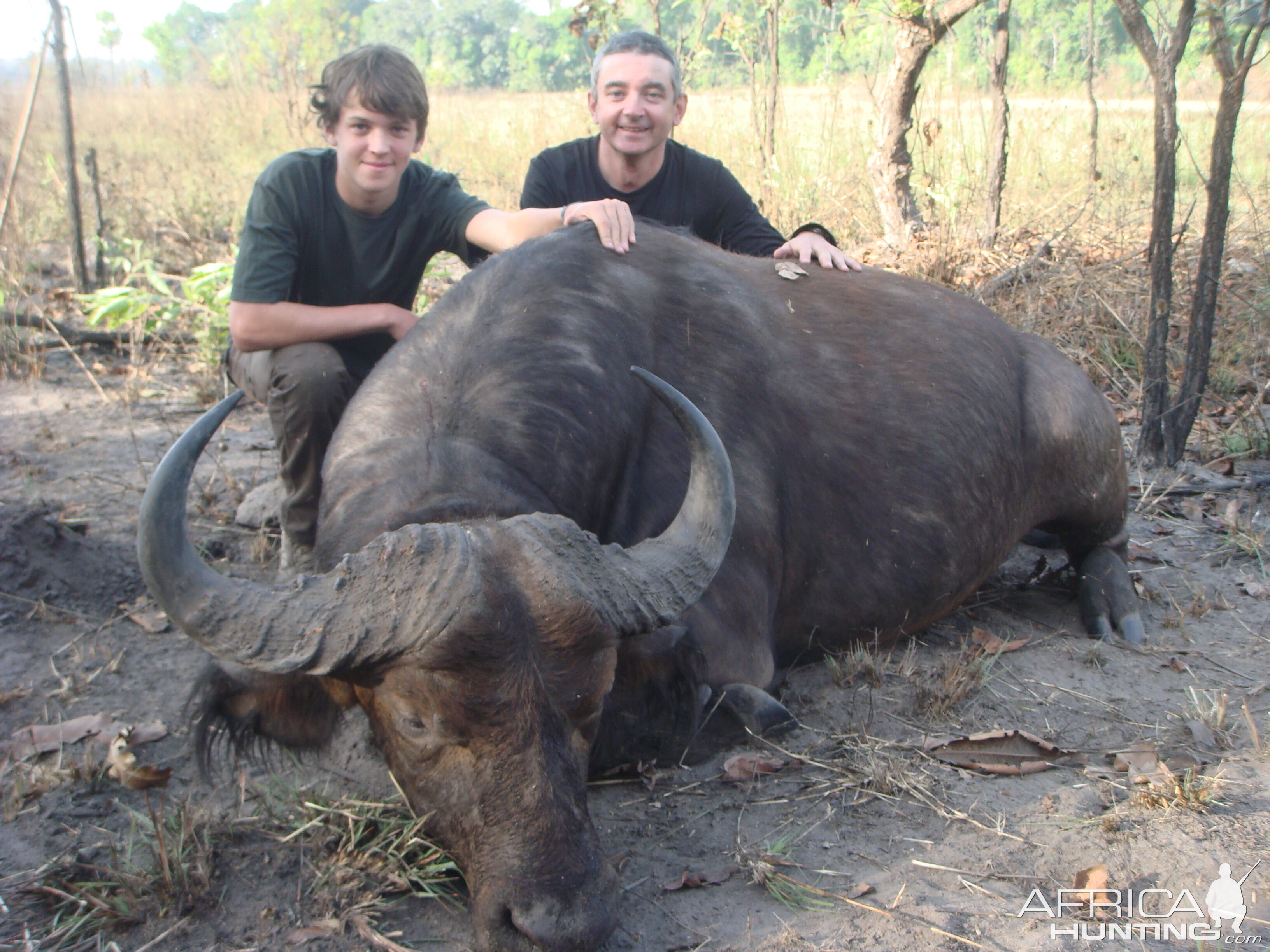 Central African Savannah Buffalo hunted in Central Africa with Club Faune