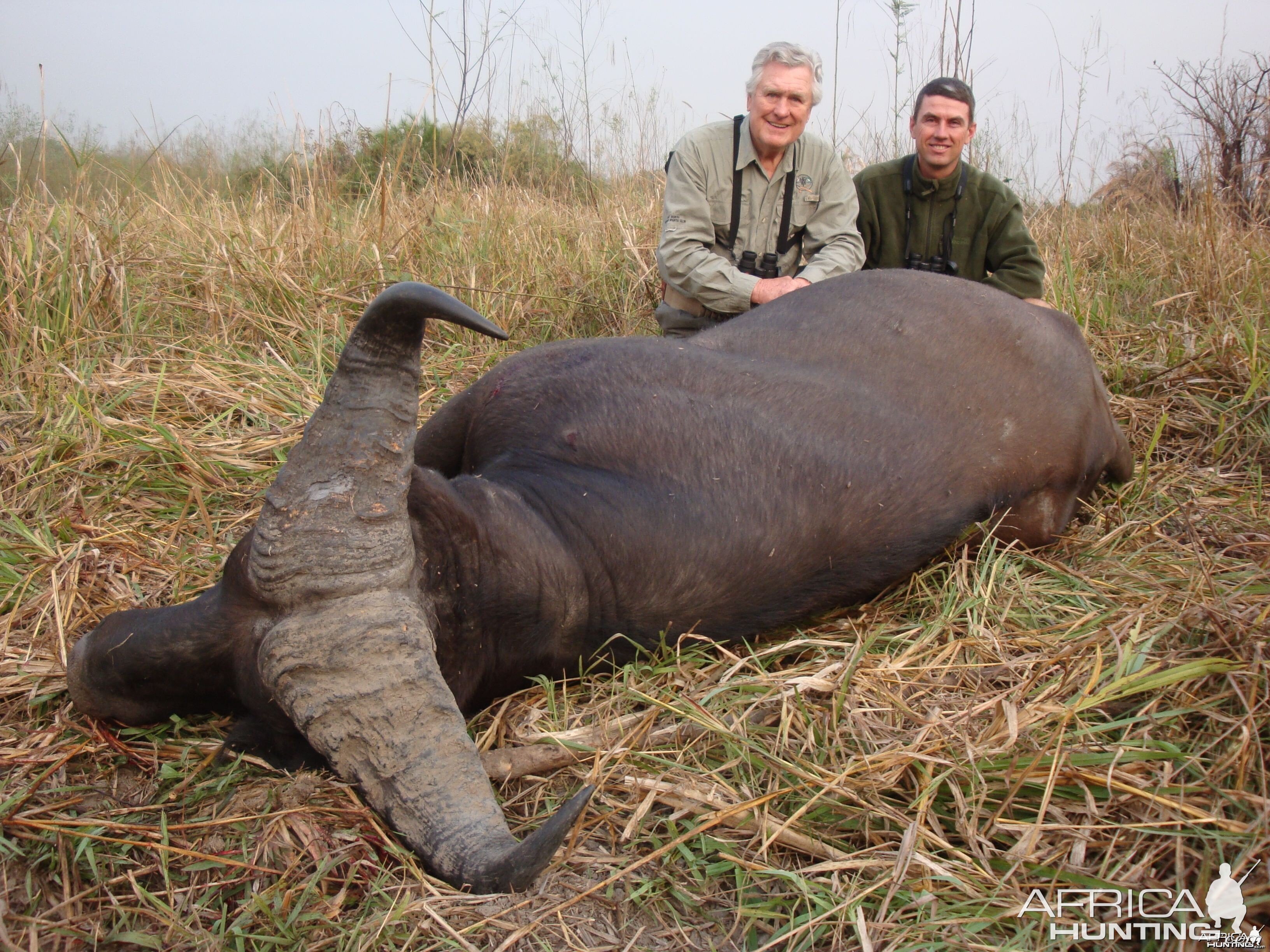 Central African Savannah Buffalo hunted in Central Africa with Club Faune