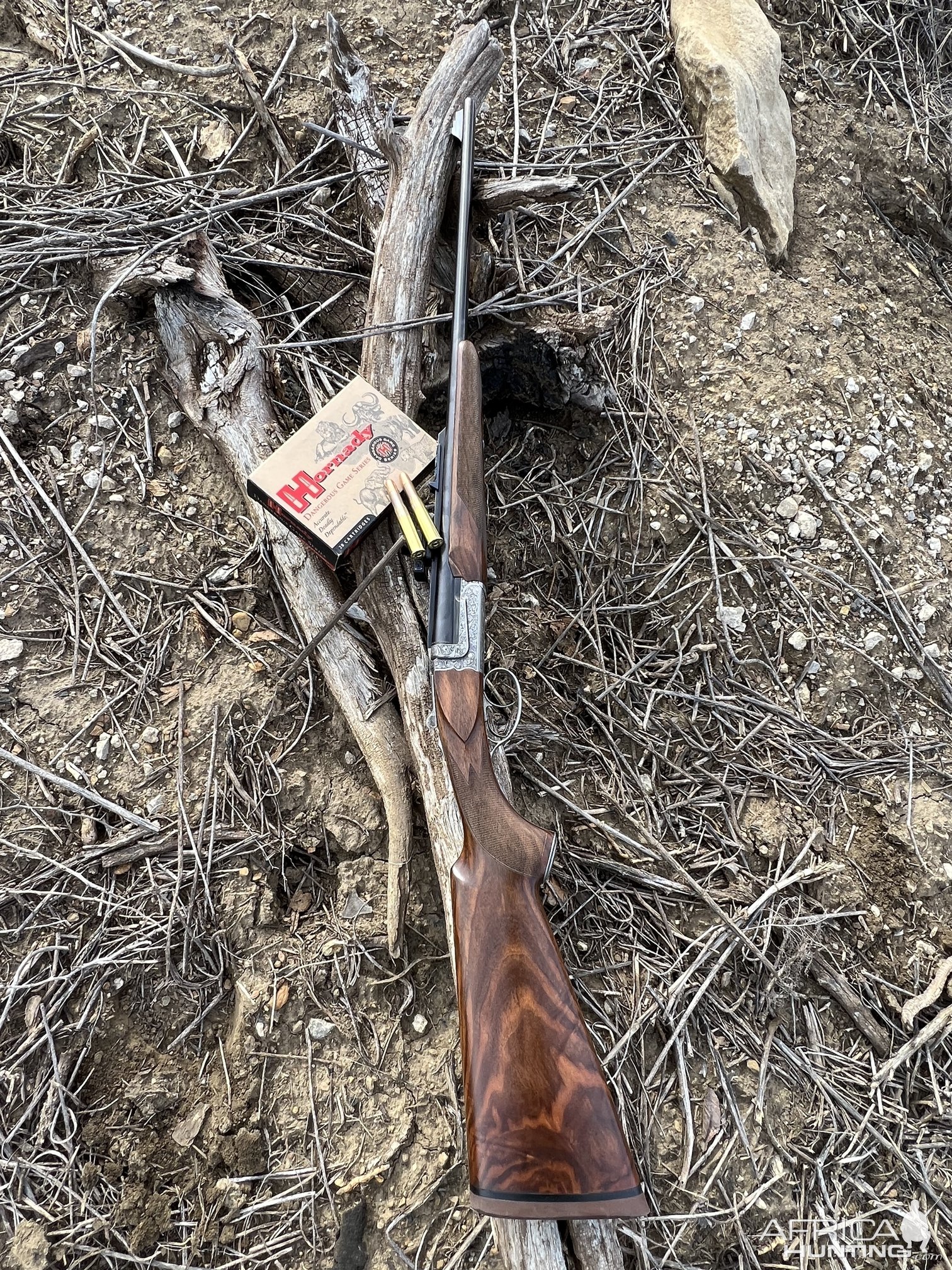 Champuis Elon 450 400 NE Double Rifle