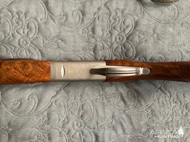 Chapuis Brousse in .375 H&H
