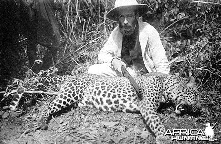 Chasse a la Panthere