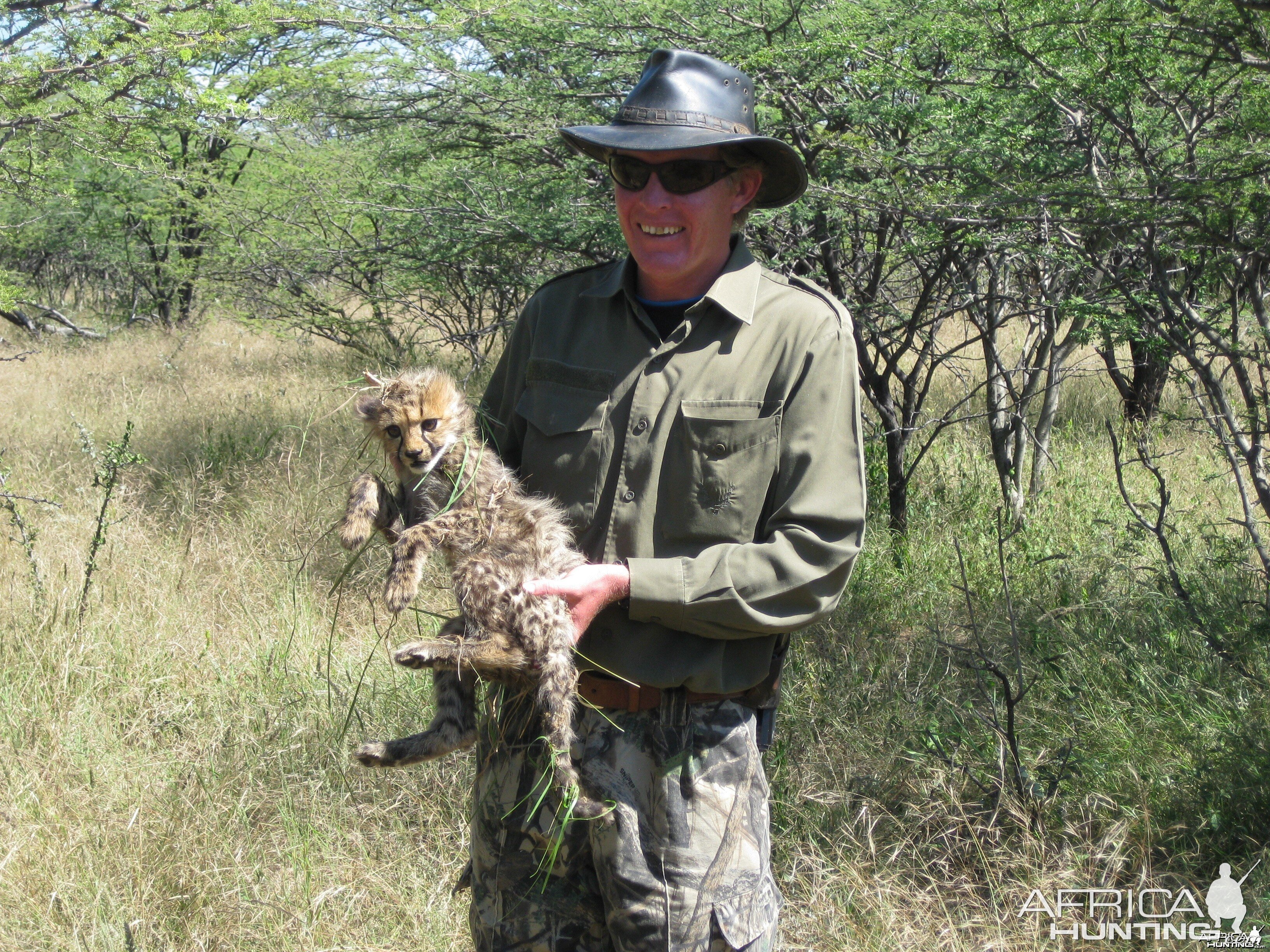 Cheetah Cub Namibia