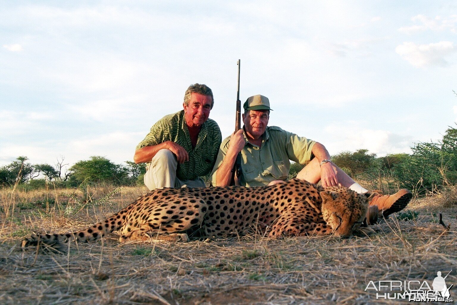 Cheetah Hunted in Namibia
