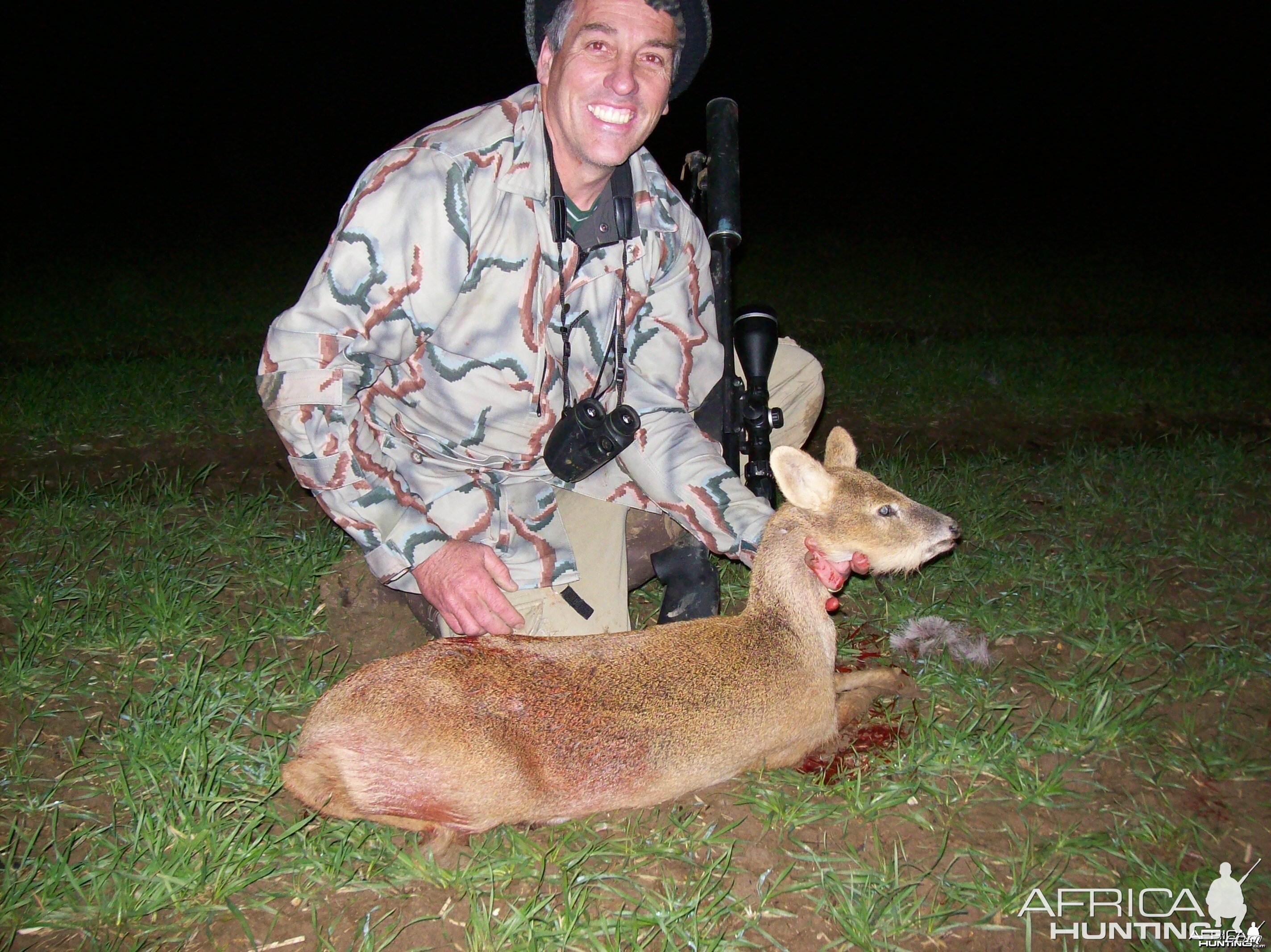 Chinese Water Deer-England