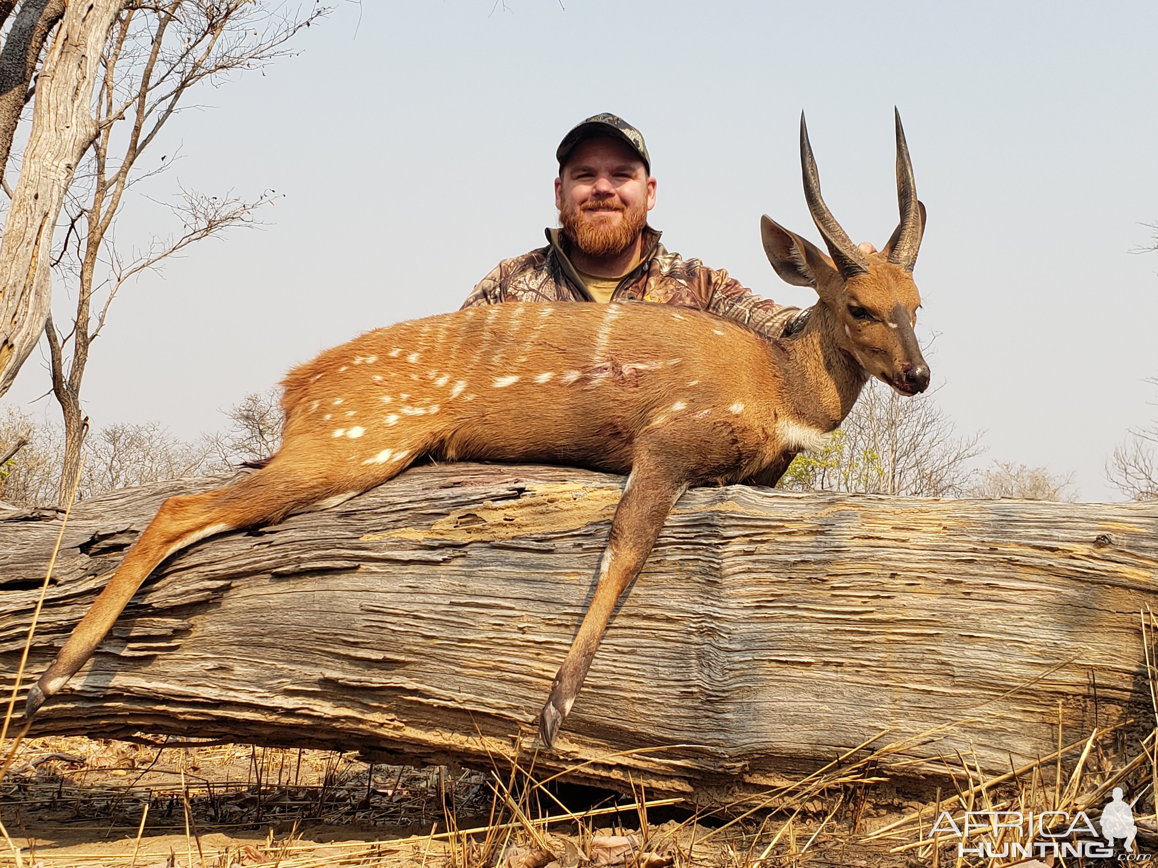 Chobe Bushbuck Hunt Zambia