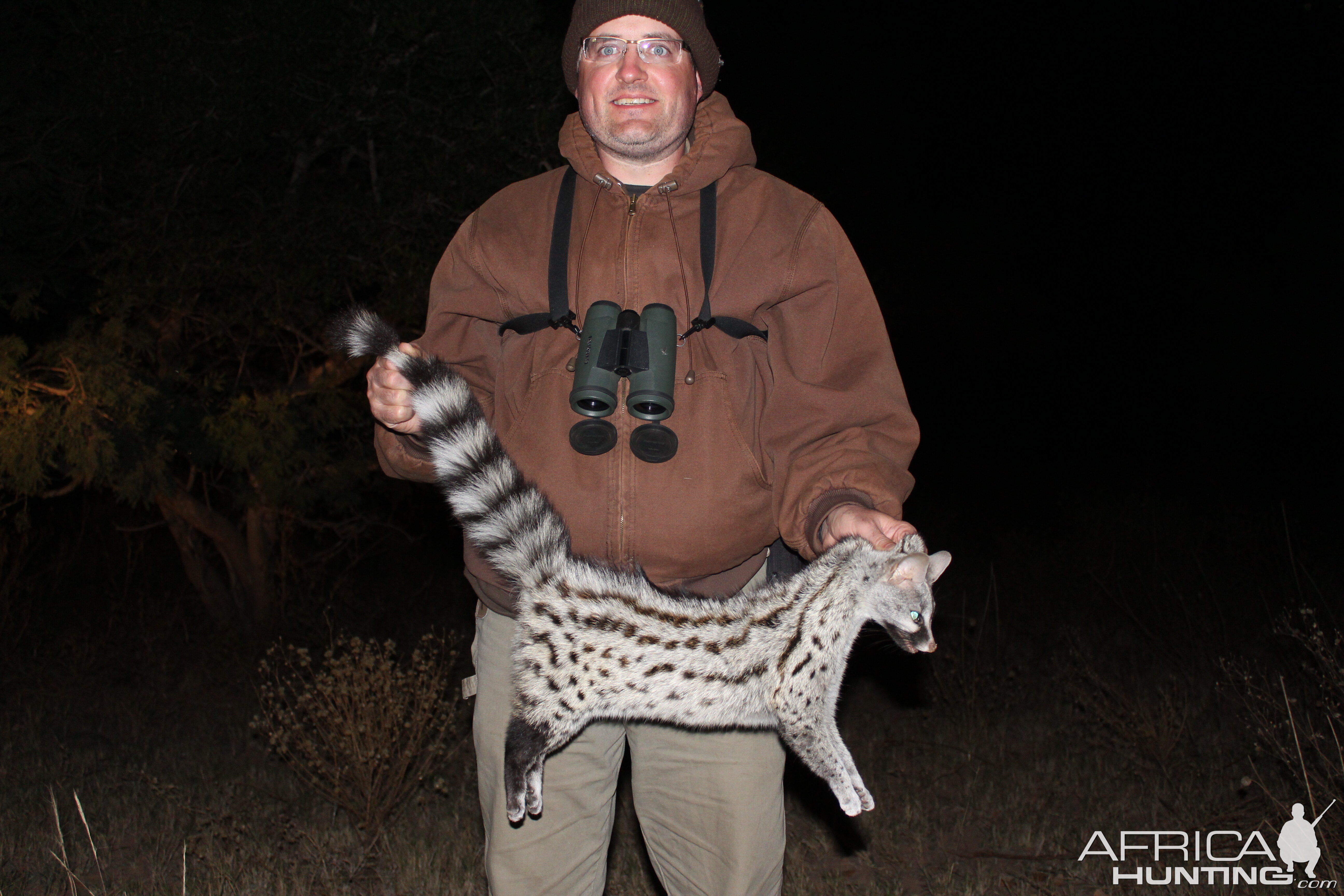 Civet Cat Hunting in South Africa