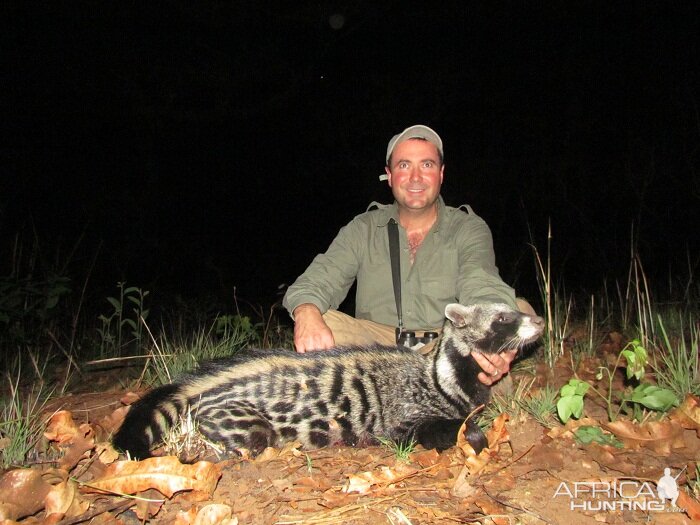 Civet hunt with CAWA in CAR