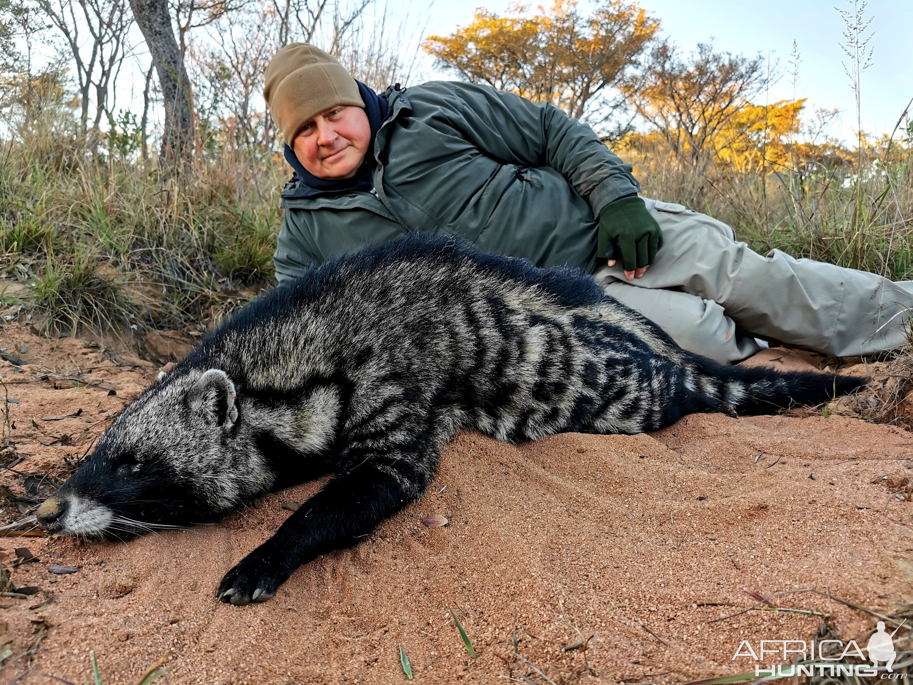 Civet Hunting South Africa