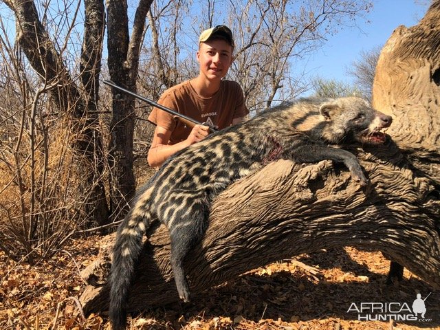 Civet Hunting South Africa