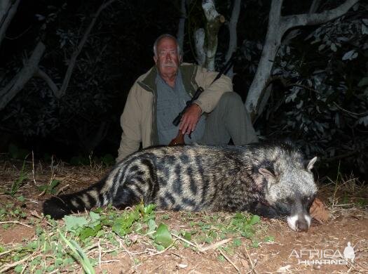 Civet Hunting Sunset Safaris