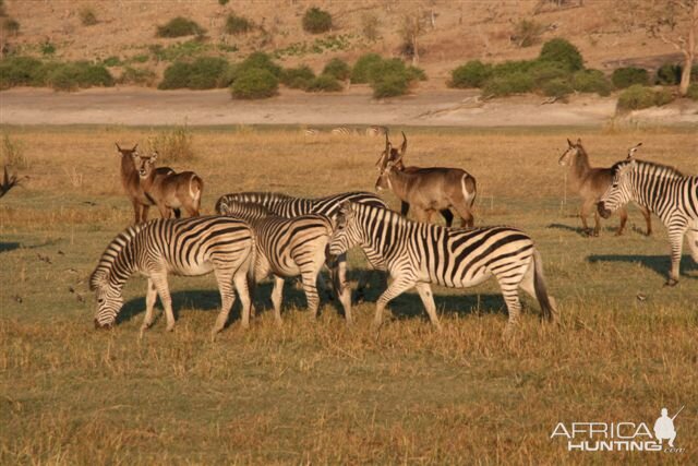 Classic Safaris in Caprivi Namibia