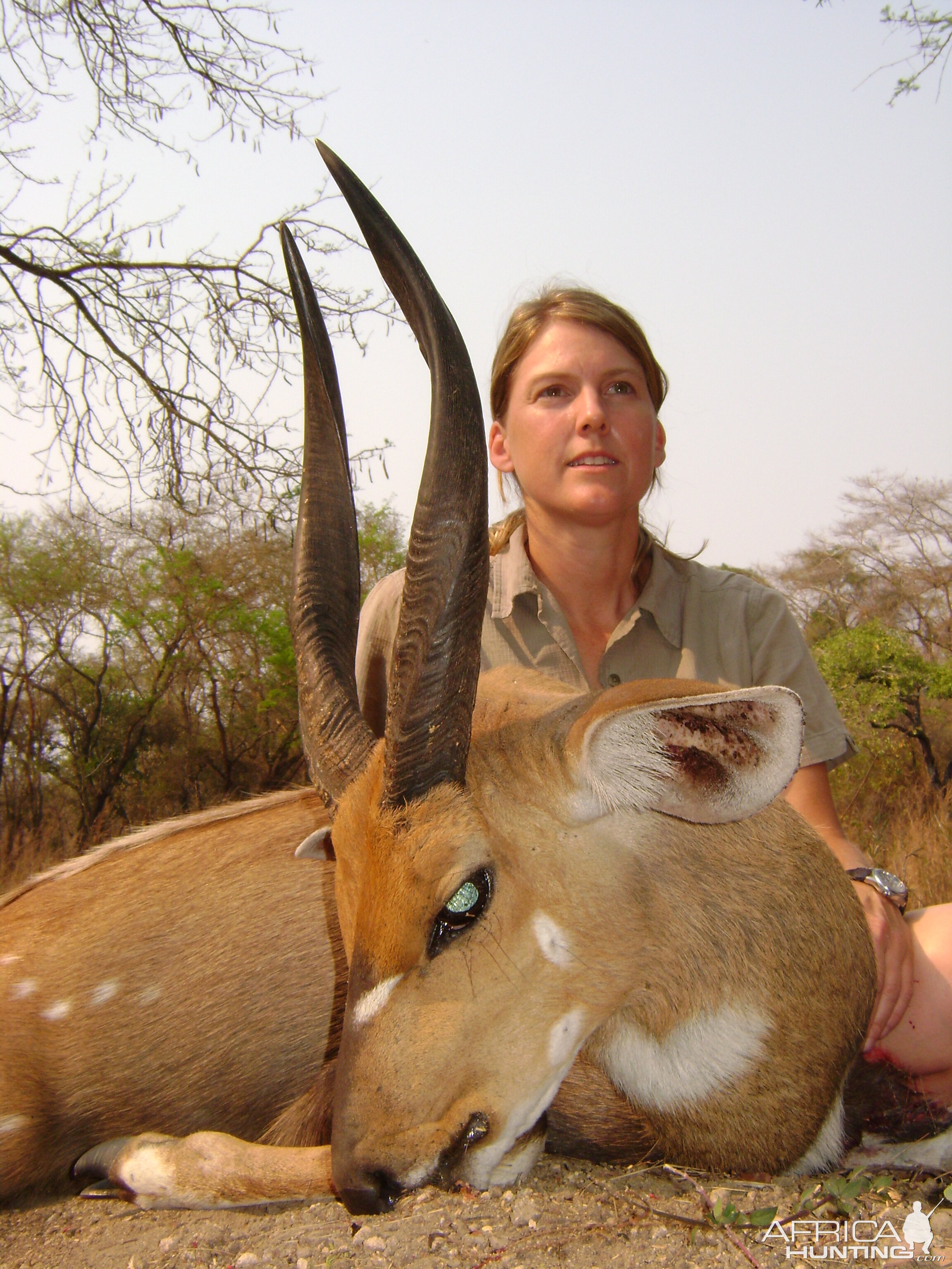 Client bushbuck Mozambique