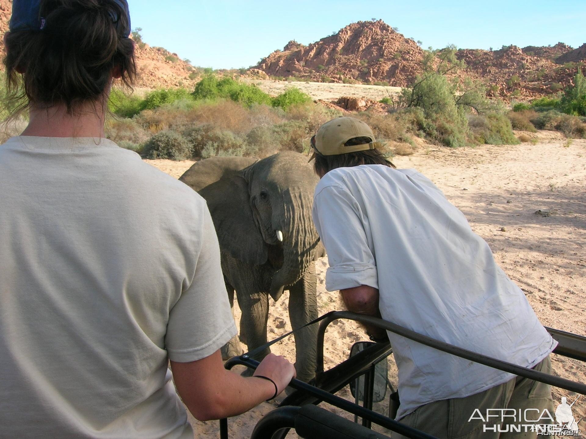 Close Encounters with Elephants in Namibia