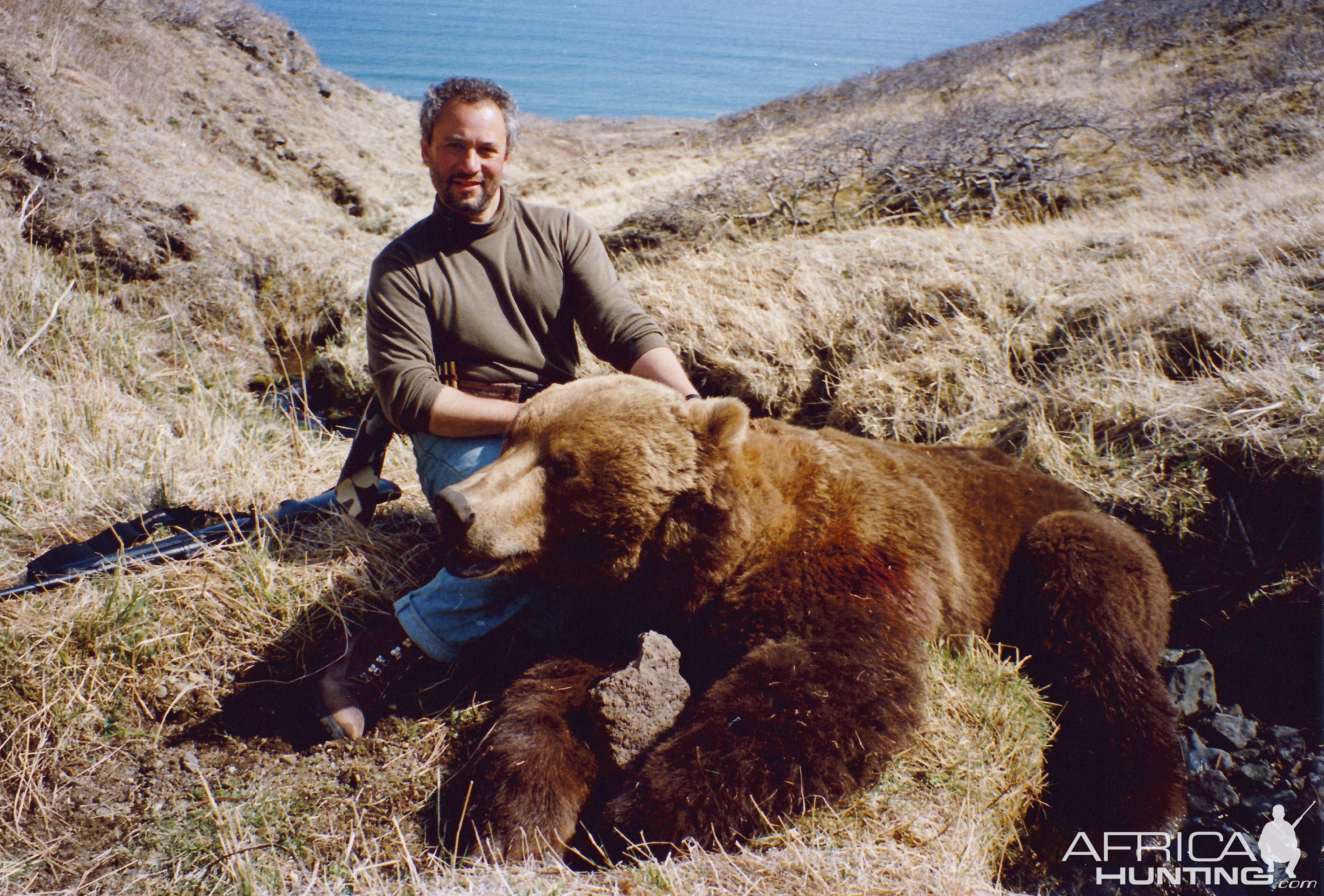 Coastal Alaskan Brown Bear