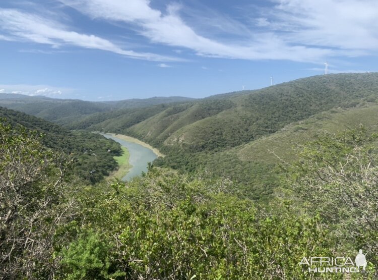 Coastal Hunting Area South Africa