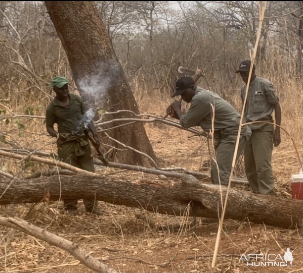 Collecting Honey Zimbabwe