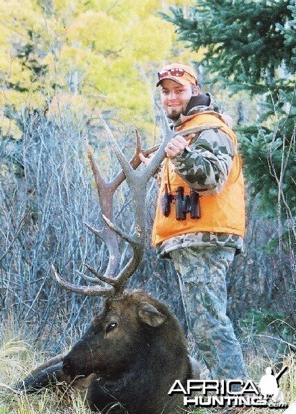 Colorado Elk