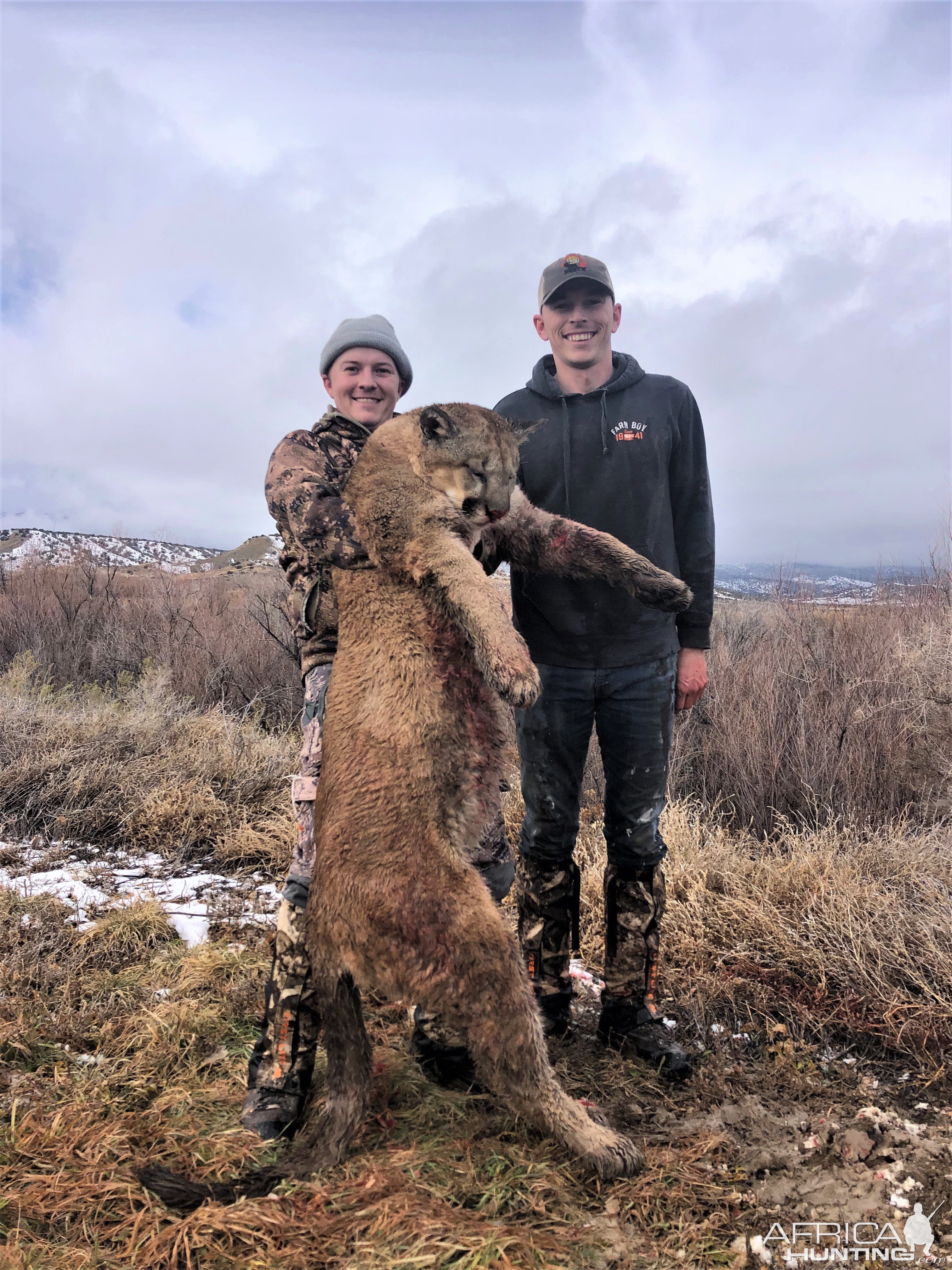Colorado Lion Hunt