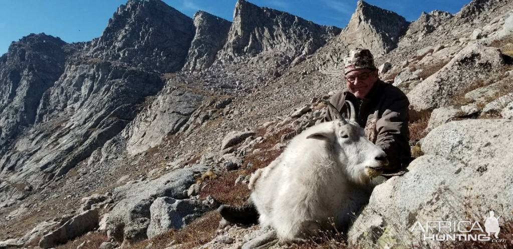 Colorado USA Hunting Mountain Goat