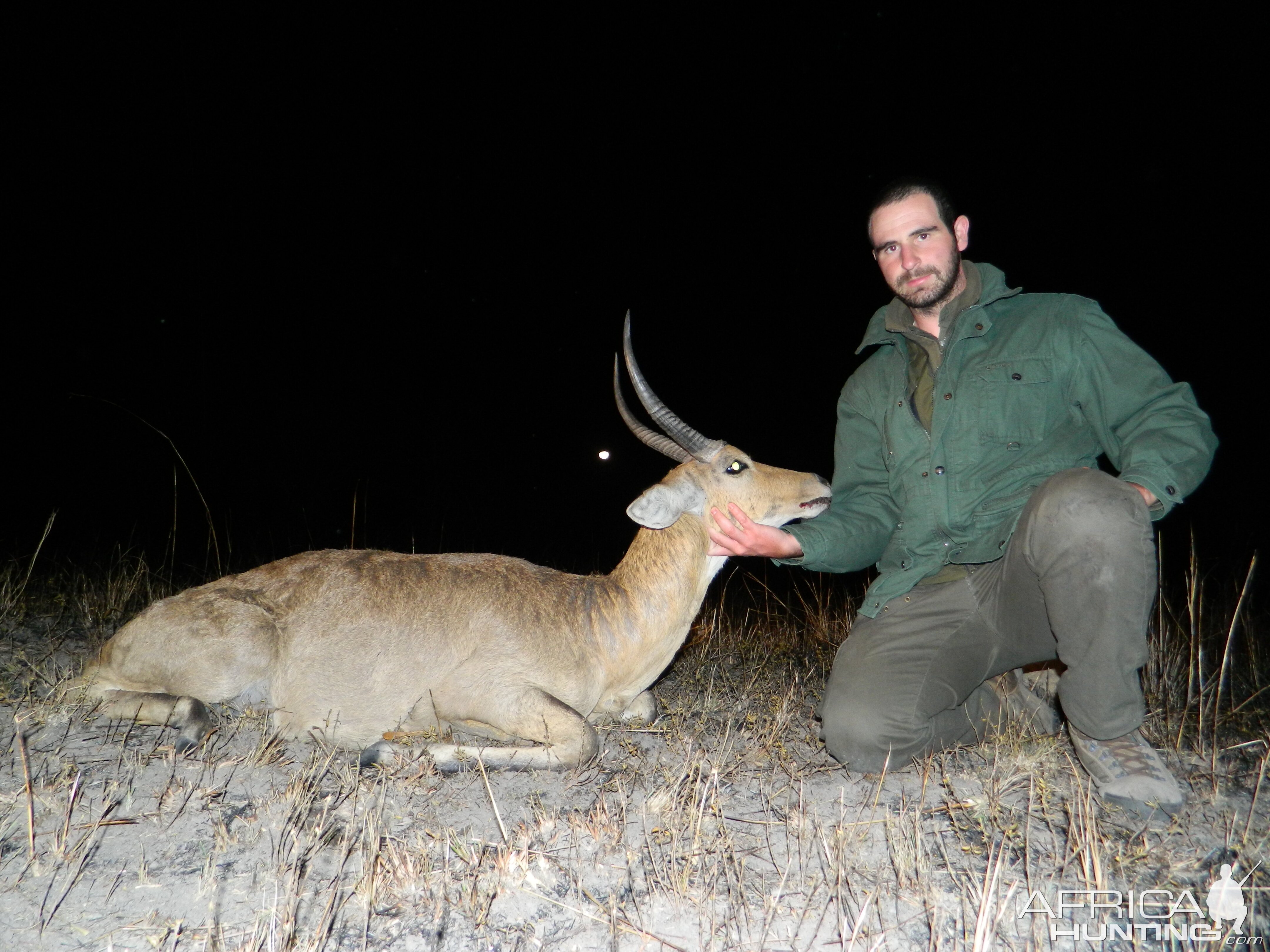 Common Reedbuck Hunt South Africa