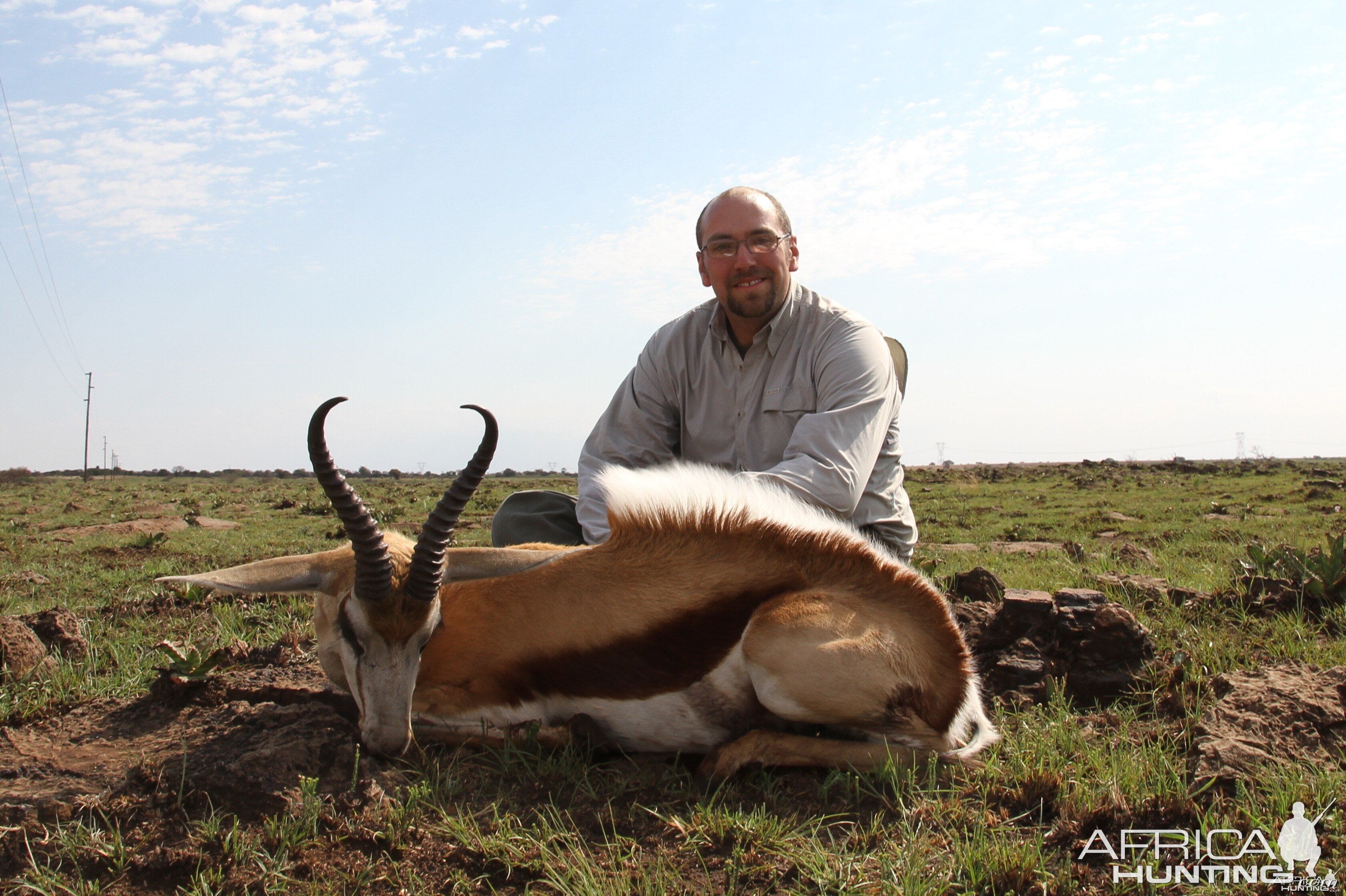 Common Springbok 2012