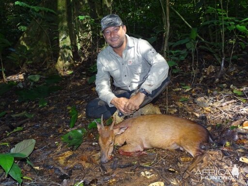 Congo Hunting Peters's Duiker