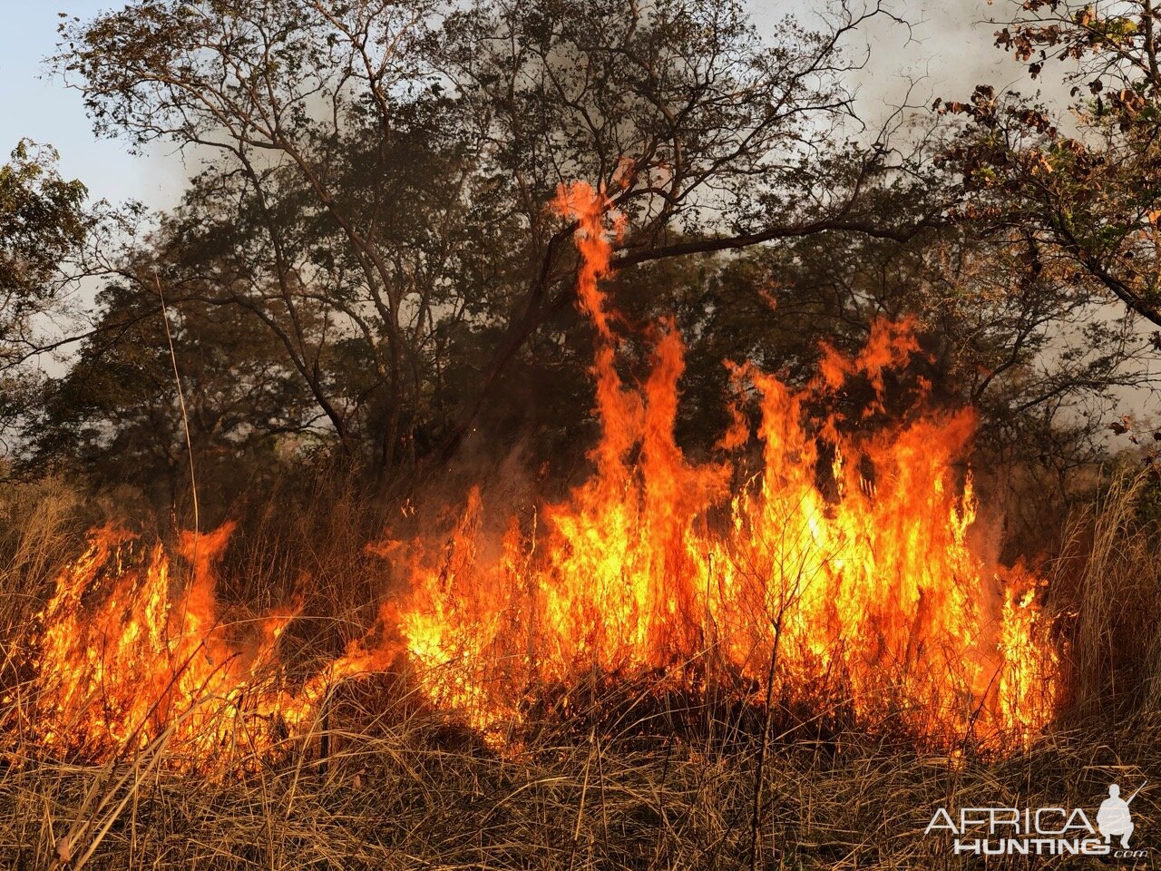 Controlled Fires Cameroon