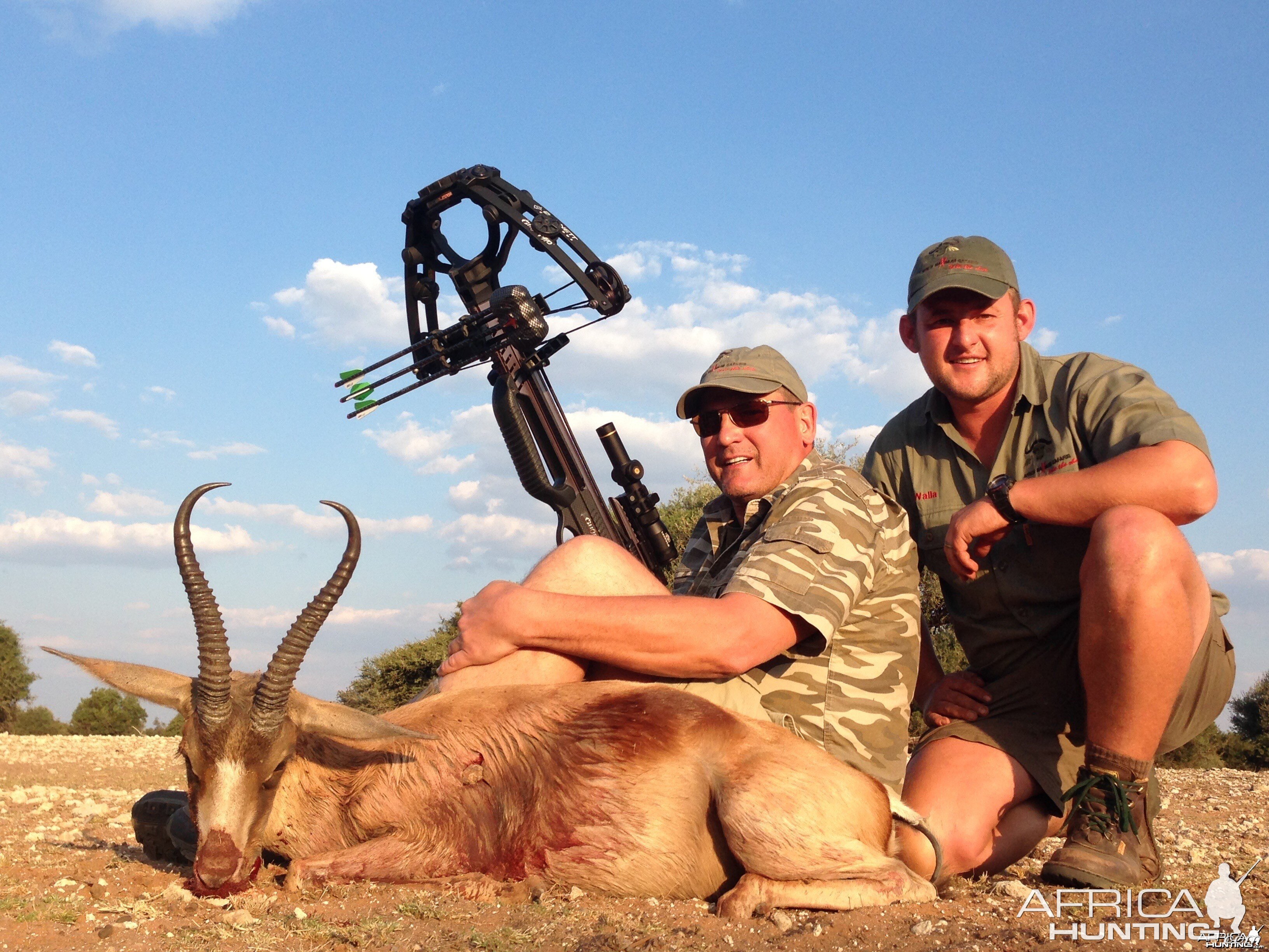 Copper Springbok - Crossbow