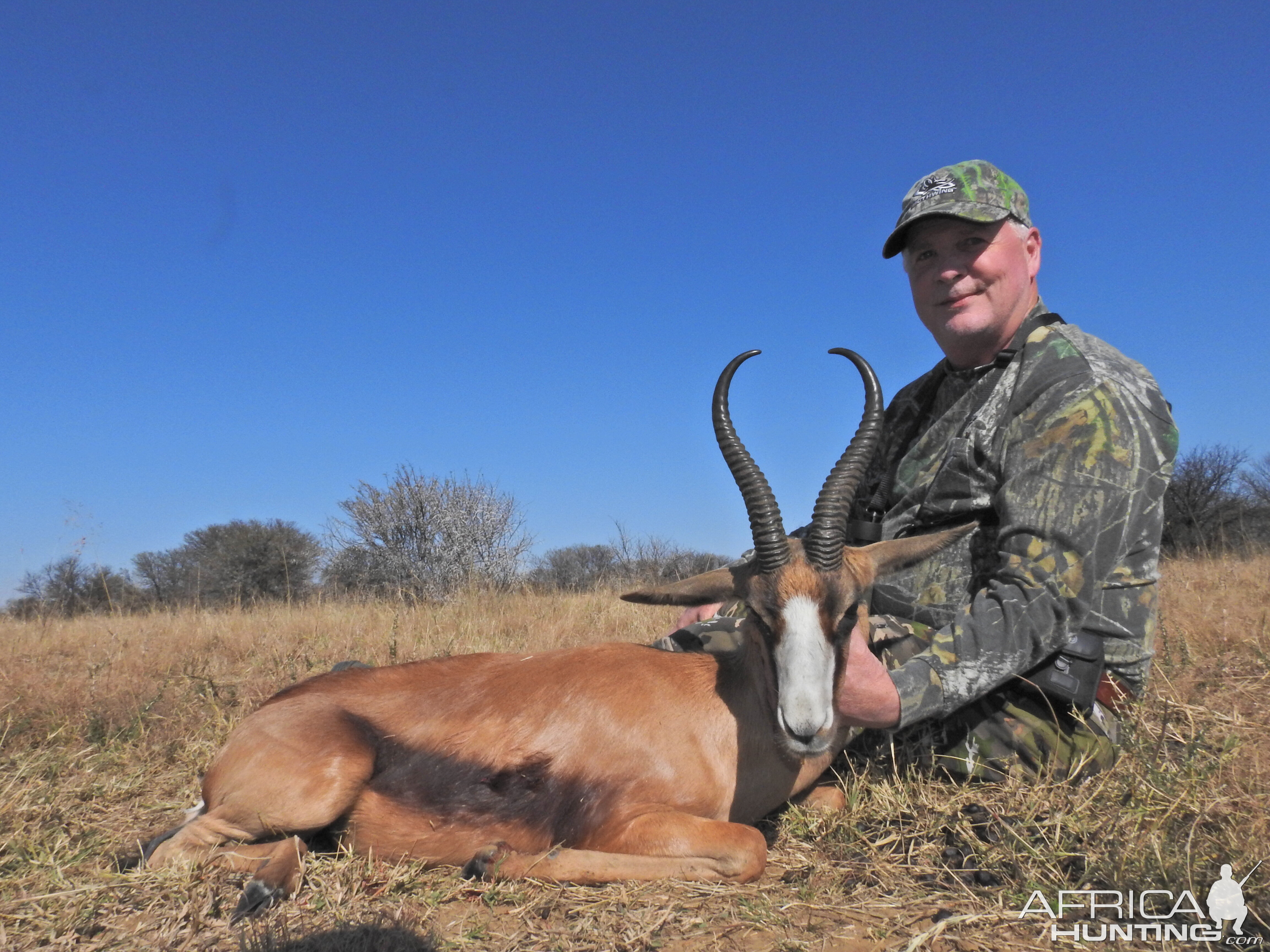 Copper Springbuck