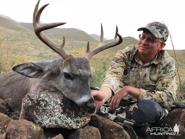 Coues Deer Hunting