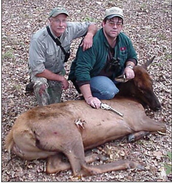 Cow elk taken at Mark Hampton’s game preserve.